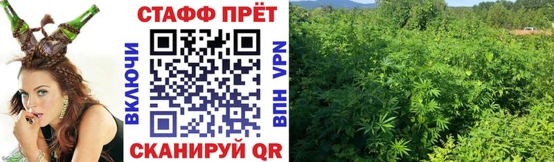 Купить Гашиш Alpha PVP Псилоцибиновые грибы COCAIN МЕФ Грязи