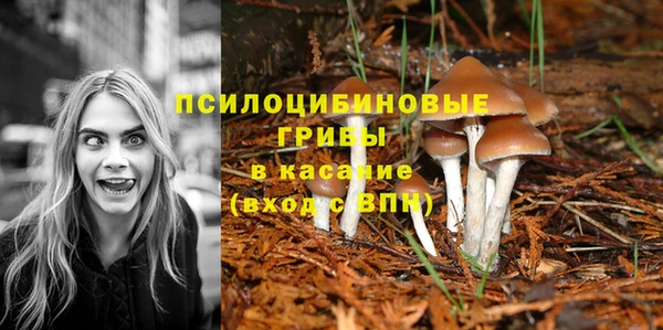гидропоника Карпинск