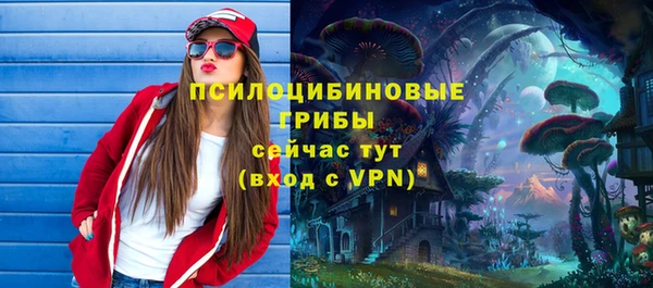 крисы Касимов